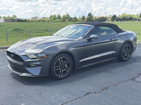 Used 2018 Ford Mustang Premium w/ Equipment Group 201A RWD image 5