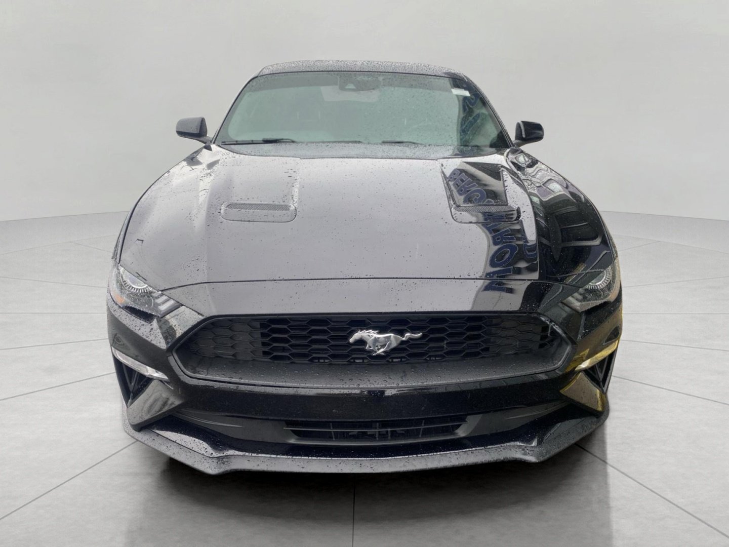 Certified 2021 Ford Mustang Premium RWD image 3