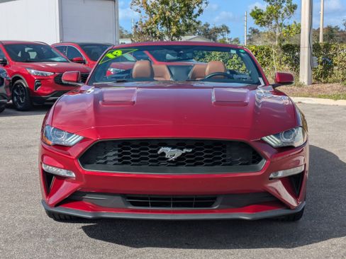 Used 2019 Ford Mustang Premium image 9