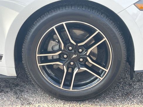 Used 2019 Ford Mustang Premium image 9