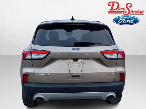 Used 2021 Ford Escape Titanium image 8