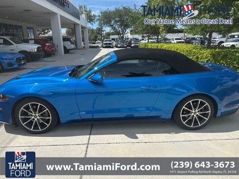 Used 2019 Ford Mustang Premium w/ Equipment Group 201A RWD image 1