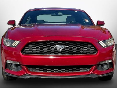 Used 2017 Ford Mustang Premium RWD image 2