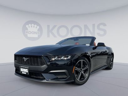 Used 2024 Ford Mustang Premium
