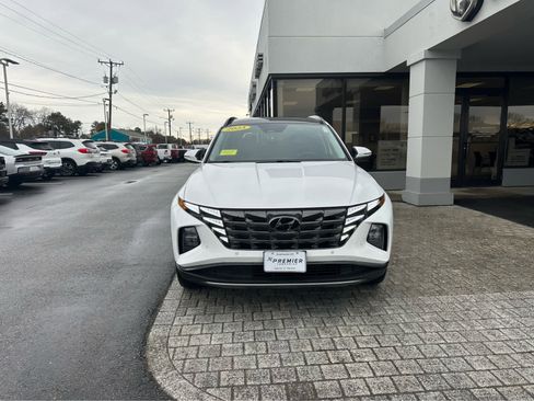 Used 2023 Hyundai Tucson Limited image 2