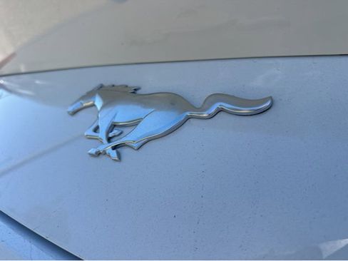 New 2026 Ford Mustang Coupe image 13