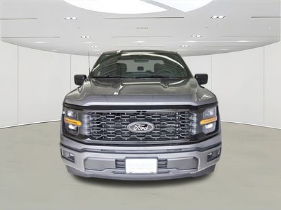 New 2025 Ford F150 STX w/ STX Black Appearance Package