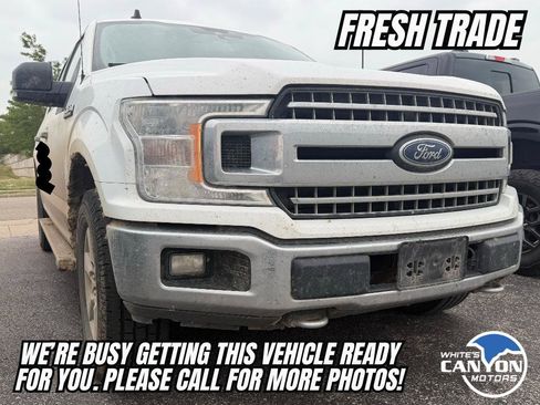 Used 2019 Ford F150 XLT w/ Equipment Group 302A Luxury AWD/4WD image 1