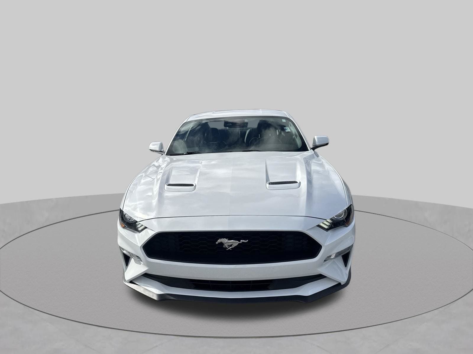 Used 2019 Ford Mustang Premium w/ Equipment Group 201A RWD image 9