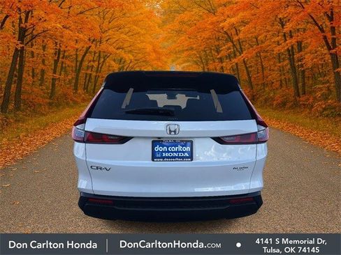 Used 2024 Honda CR-V EX image 5