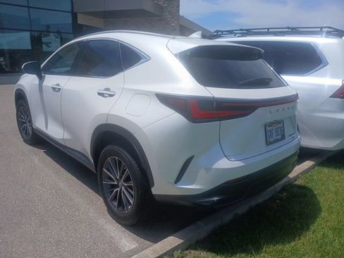 Used 2023 Lexus NX 350 AWD w/ Cold Area Package image 4