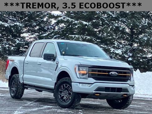 Used 2023 Ford F150 Tremor image 1