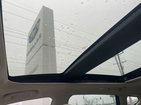 Used 2019 Nissan Murano Platinum w/ Cargo Package image 34