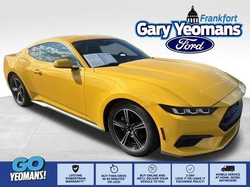Used 2024 Ford Mustang Coupe RWD image 1