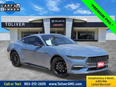Used 2024 Ford Mustang Premium w/ Mustang Nite Pony Package