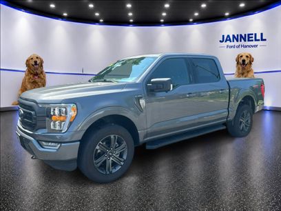Used 2023 Ford F150 XLT w/ Equipment Group 302A High