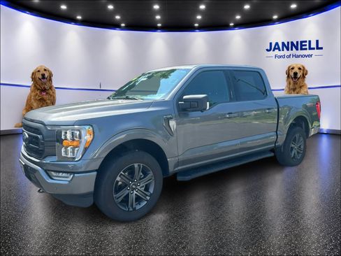 Used 2023 Ford F150 XLT w/ Equipment Group 302A High AWD/4WD image 1