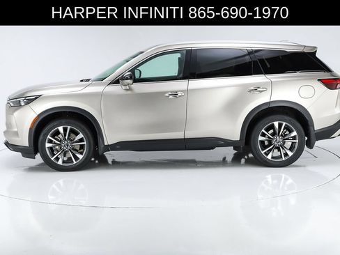 Used 2023 INFINITI QX60 Luxe w/ Vision Package AWD/4WD image 2