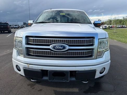 Used 2010 Ford F150 Platinum AWD/4WD image 3