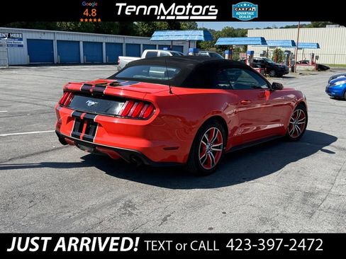 Used 2016 Ford Mustang Premium RWD image 4