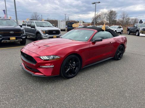 Certified 2023 Ford Mustang Premium w/ Equipment Group 201A RWD image 3