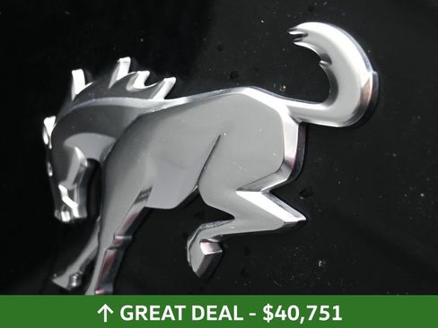 Used 2025 Ford Bronco Big Bend image 18