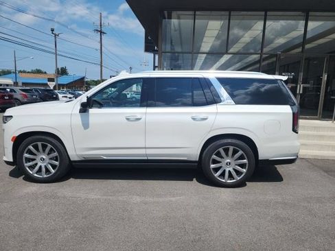 Used 2021 Cadillac Escalade Premium Luxury Platinum AWD/4WD image 7