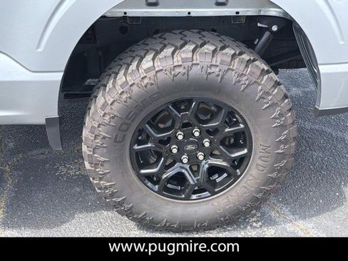 Used 2025 Ford F150 XLT w/ Equipment Group 302A MID AWD/4WD image 19