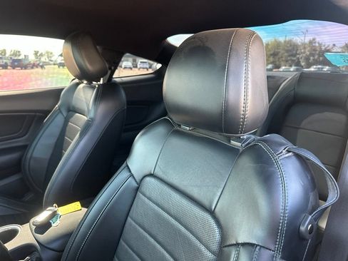 Used 2019 Ford Mustang Bullitt w/ Bullitt Electronics Package RWD image 3