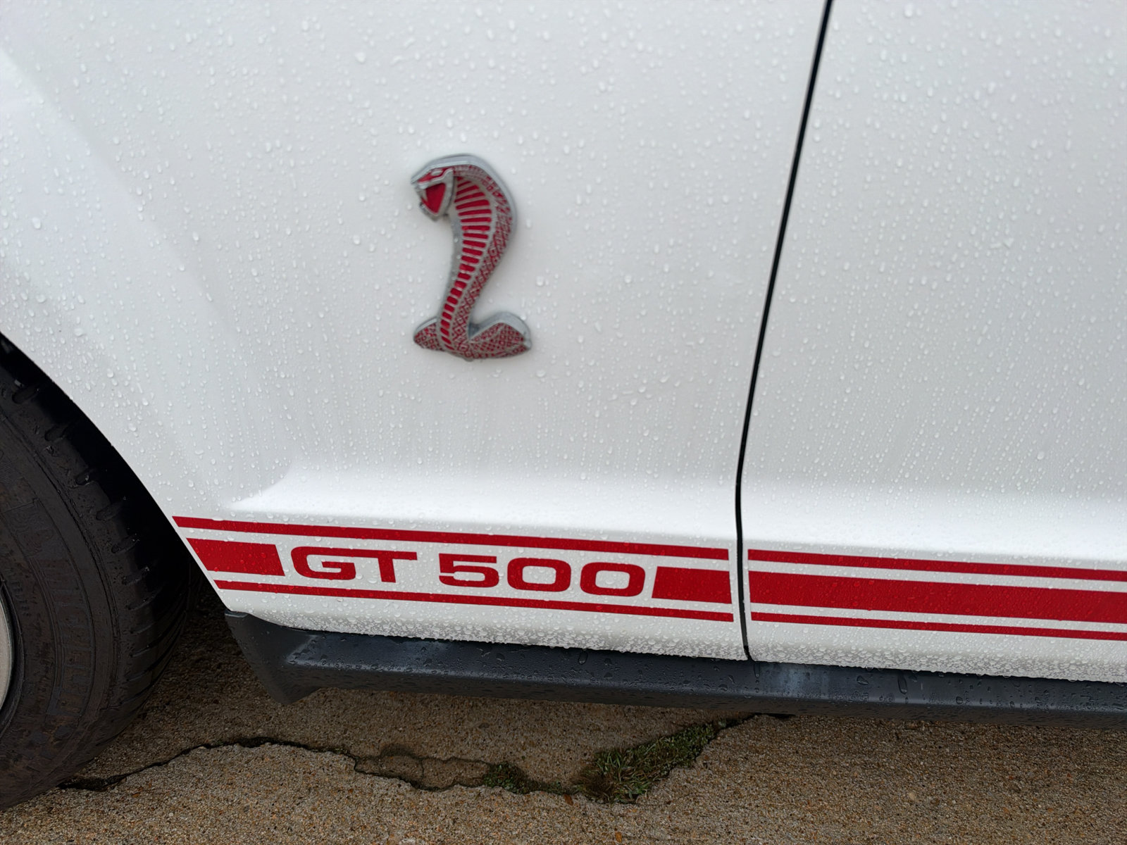 Used 2008 Ford Mustang Shelby GT500 RWD image 12