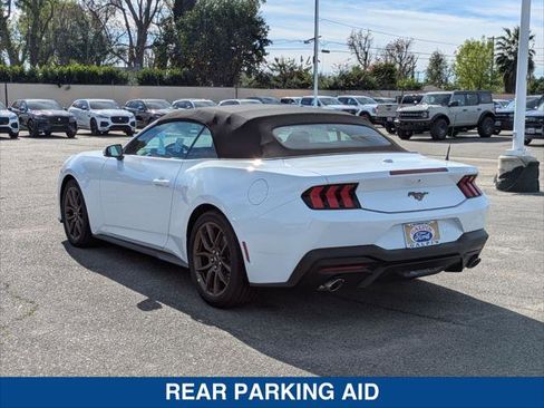 New 2026 Ford Mustang Convertible w/ Bronze Appearance Package image 3