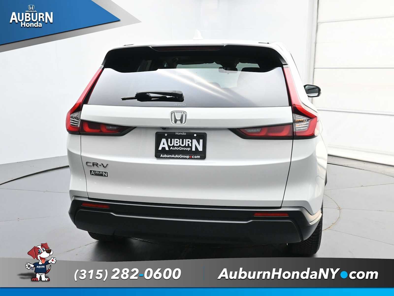 Used 2024 Honda CR-V EX image 4