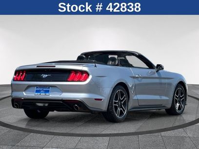 Certified 2023 Ford Mustang Premium