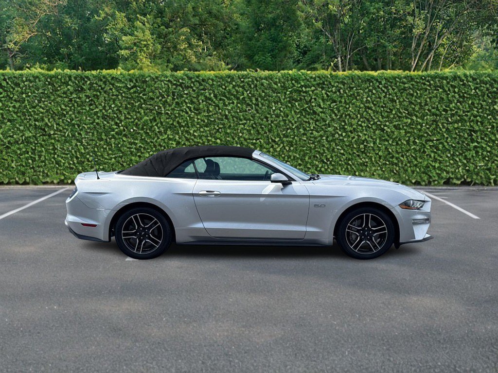 Used 2019 Ford Mustang GT Premium w/ Equipment Group 401A RWD image 2