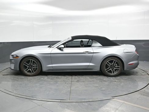 Used 2023 Ford Mustang Premium image 10