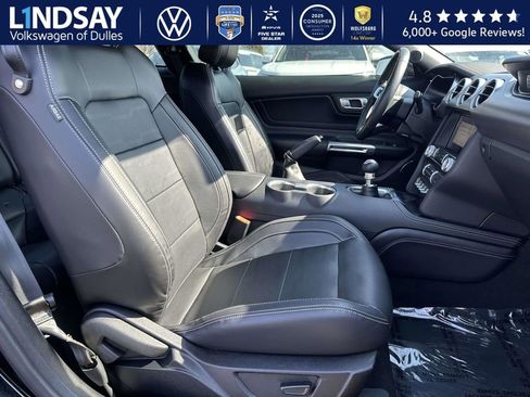 Used 2021 Ford Mustang GT Premium w/ Equipment Group 401A image 11