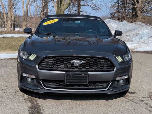 Used 2017 Ford Mustang Premium image 8