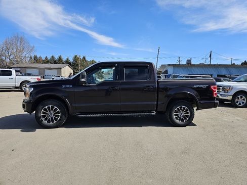 Used 2018 Ford F150 XLT w/ Equipment Group 302A Luxury image 1