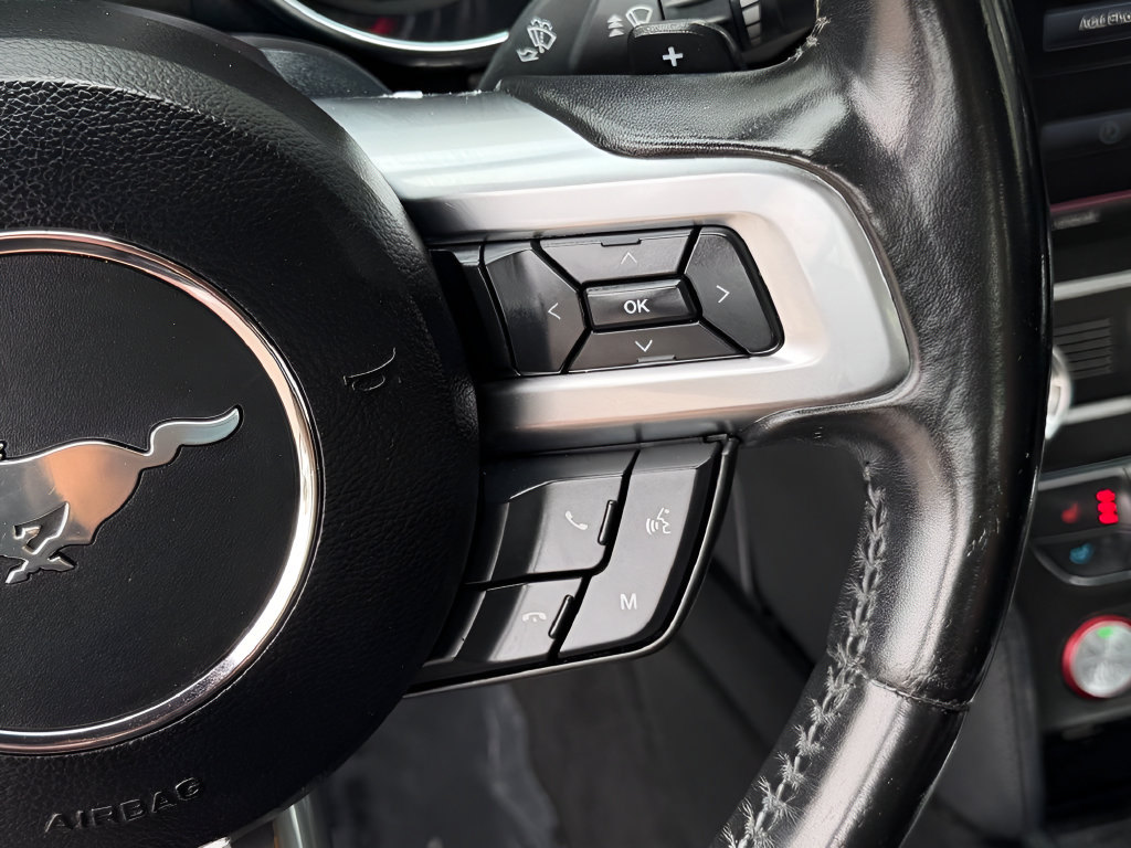Used 2019 Ford Mustang Premium RWD image 29