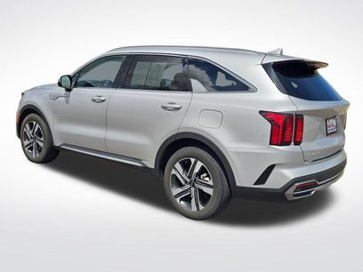 Used 2023 Kia Sorento EX