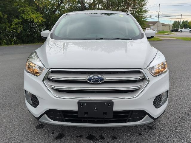 Used 2019 Ford Escape SE AWD/4WD image 9