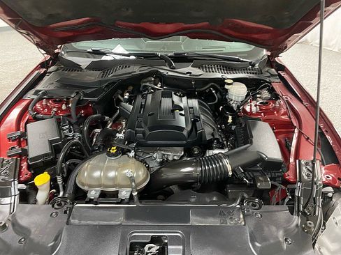Used 2019 Ford Mustang Premium w/ Equipment Group 201A image 15