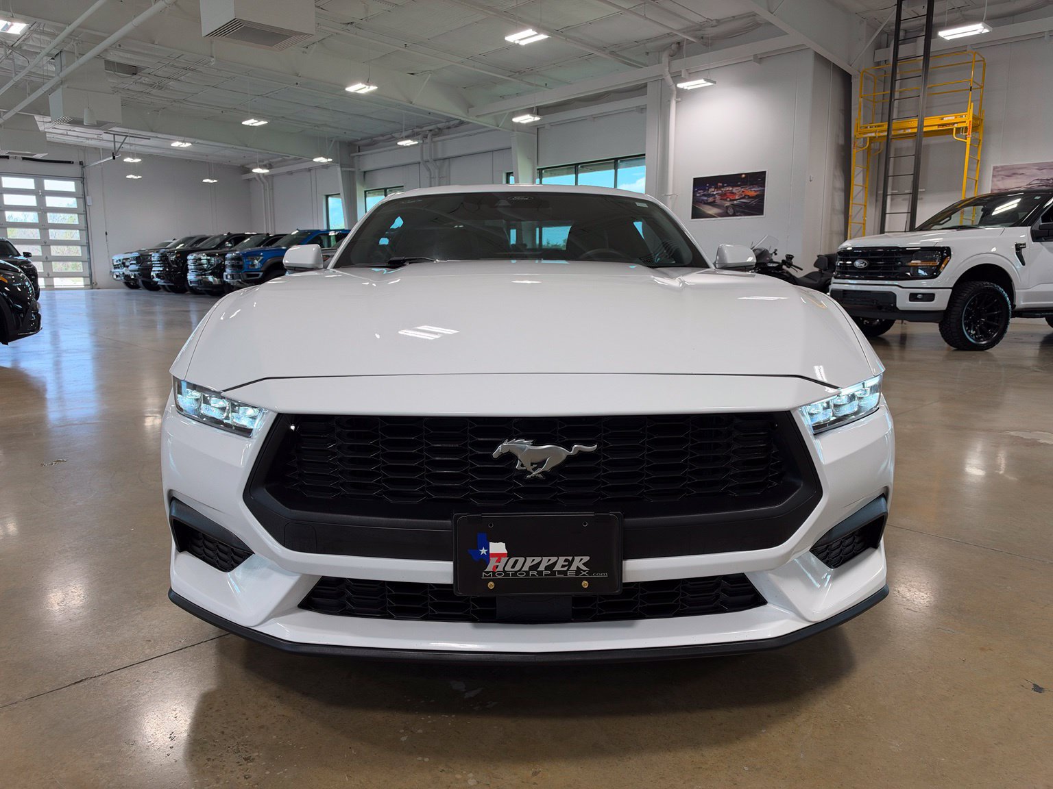 Used 2024 Ford Mustang Coupe RWD image 2