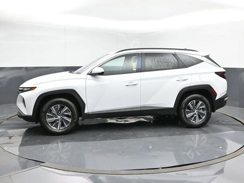 Used 2024 Hyundai Tucson Blue image 2