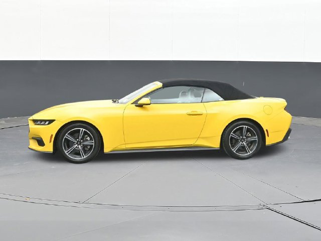 Used 2024 Ford Mustang Premium RWD image 8