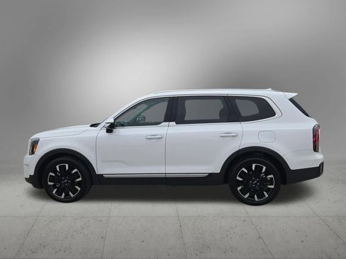 Certified 2025 Kia Telluride SX Prestige image 3