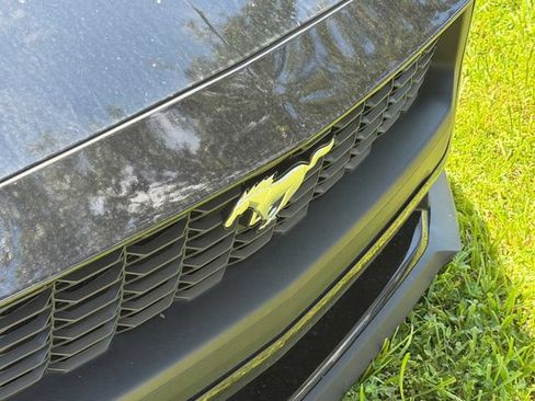 Used 2024 Ford Mustang Coupe RWD image 4