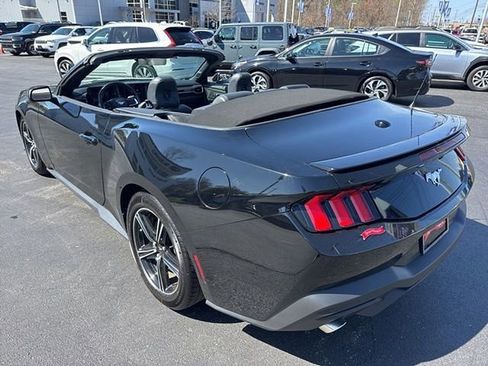 Used 2025 Ford Mustang Premium image 3