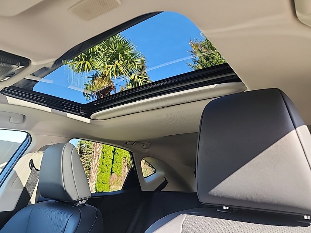 Certified 2025 Lexus NX 350h AWD w/ Cold Area Package image 13