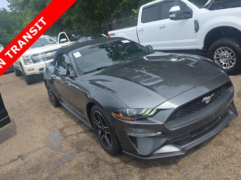 Used 2020 Ford Mustang Premium RWD image 5